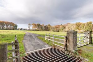 Photo 35- click for photo gallery